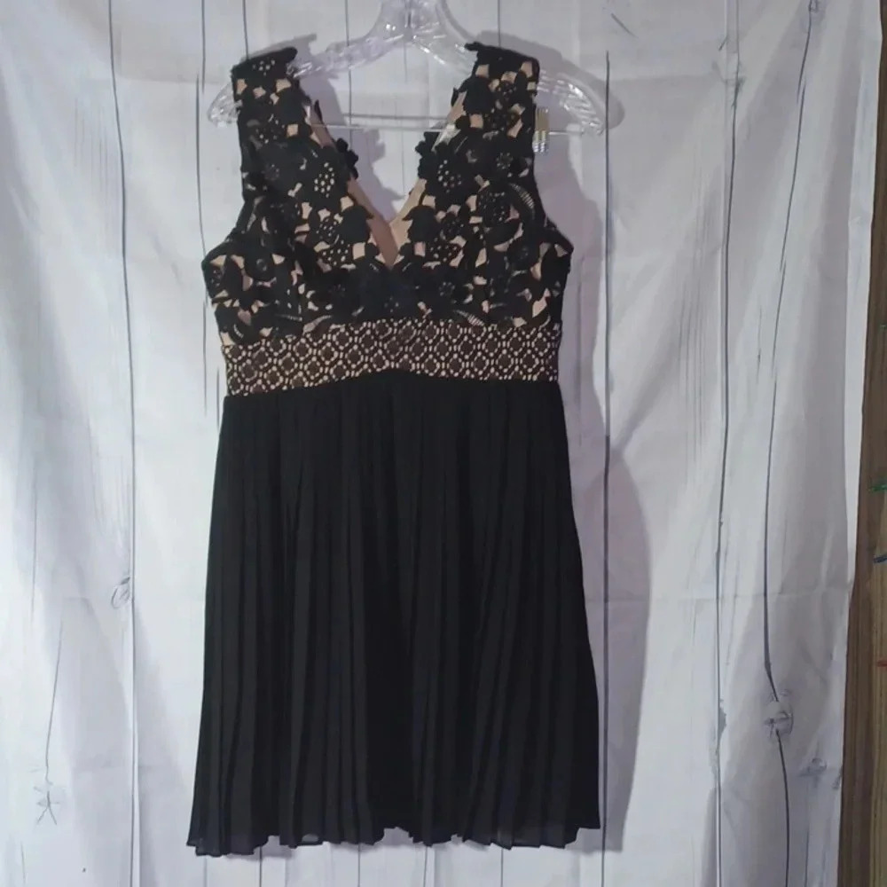 Heartloom Anthropologie Illusion Black sheer and lace fit & flare pleated dress